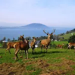 Hotel Gasthof-hotel Bramosen Weyregg