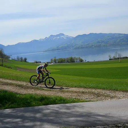 Gasthof-hotel Bramosen 4*