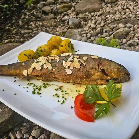 Hotel Gasthof-hotel Bramosen Weyregg