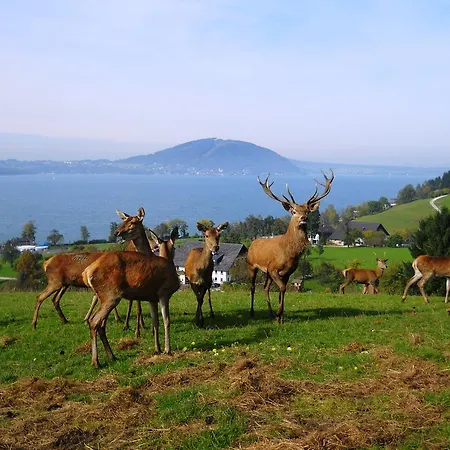 Ξενοδοχείο Gasthof-hotel Bramosen Weyregg