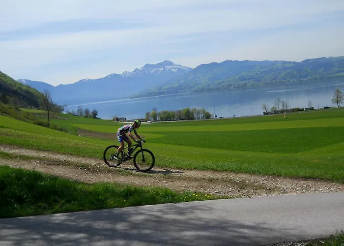 Gasthof-hotel Bramosen 4*